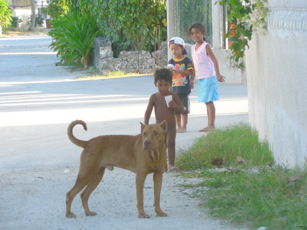 71- Scene de rue a Pouheva 
